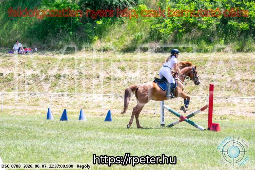 Mintakép 20260607-463
