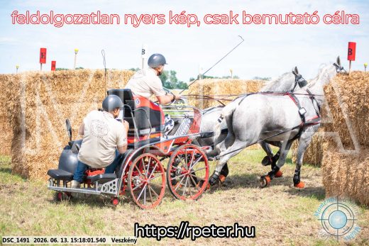 Mintakép 20260613-206