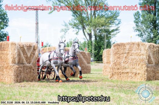 Mintakép 20260613-207