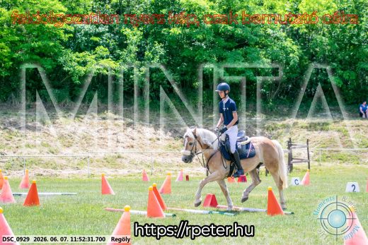 Mintakép 20260607-559