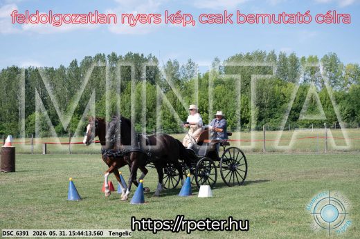 Mintakép 20260531-4