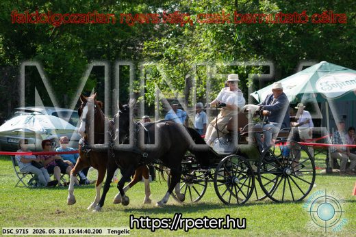 Mintakép 20260531-10