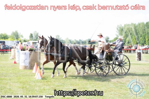 Mintakép 20260531-19