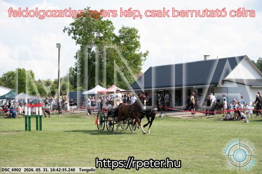 Mintakép 20260531-41