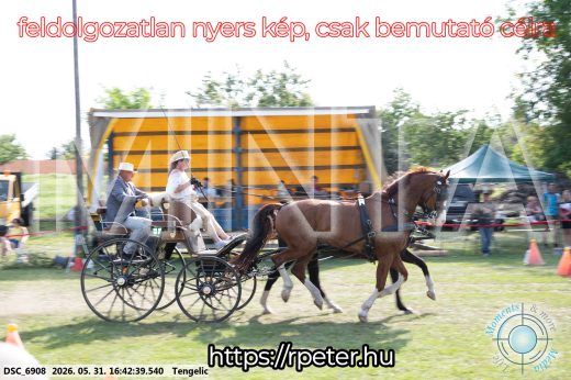 Mintakép 20260531-47