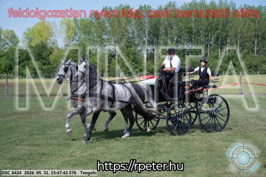 Mintakép 20260531-51