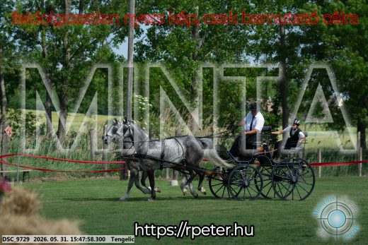 Mintakép 20260531-54