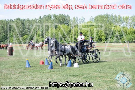 Mintakép 20260531-56