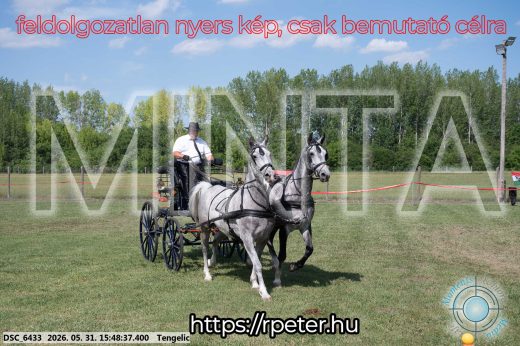 Mintakép 20260531-59
