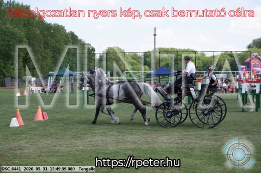 Mintakép 20260531-71