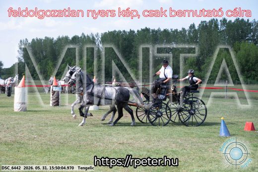 Mintakép 20260531-72