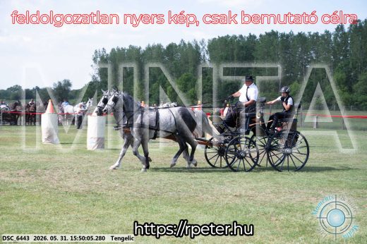Mintakép 20260531-73