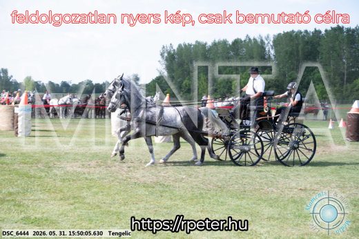 Mintakép 20260531-74