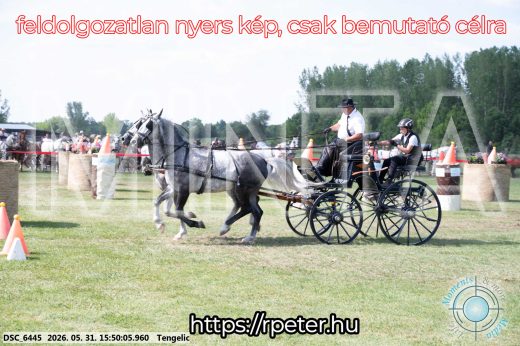 Mintakép 20260531-75