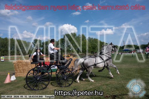 Mintakép 20260531-87