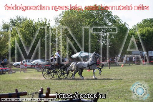 Mintakép 20260531-89