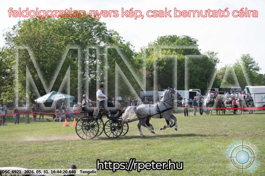 Mintakép 20260531-90