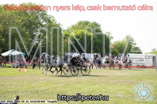 Mintakép 20260531-92