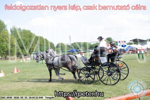 Mintakép 20260531-97
