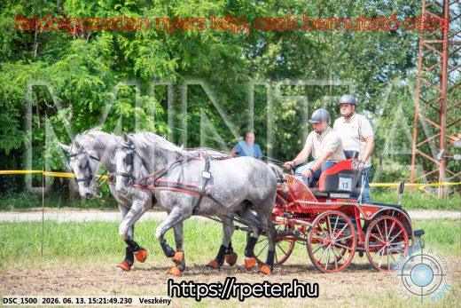 Mintakép 20260613-226
