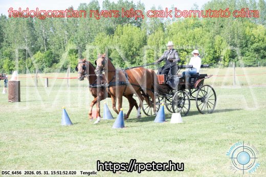 Mintakép 20260531-107