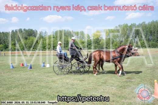Mintakép 20260531-108