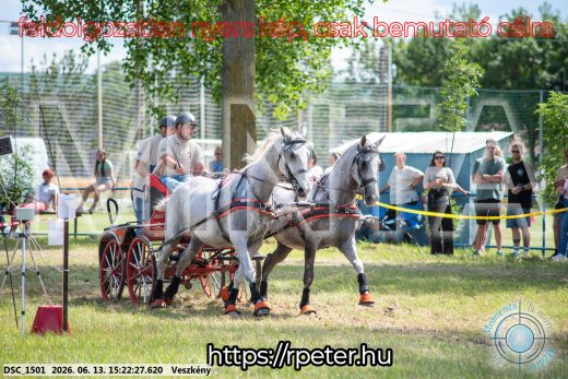Mintakép 20260613-227