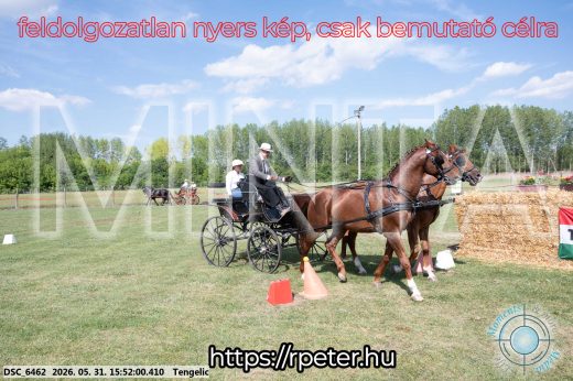 Mintakép 20260531-110