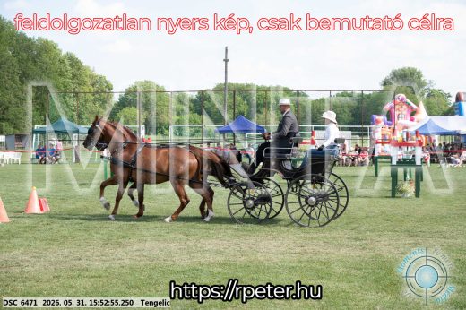 Mintakép 20260531-114