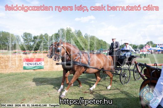 Mintakép 20260531-139
