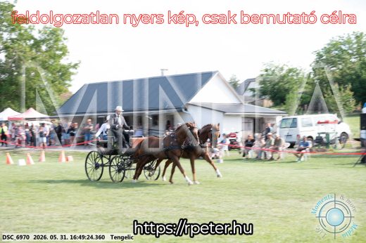 Mintakép 20260531-145