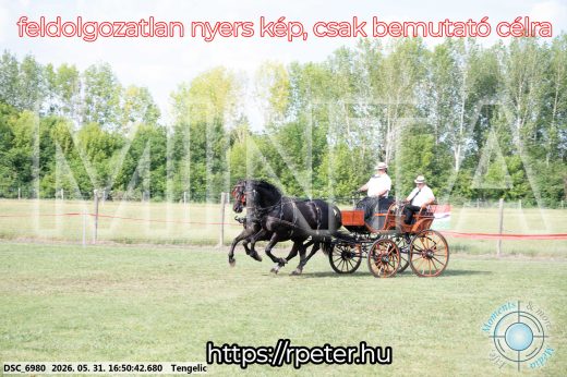 Mintakép 20260531-166