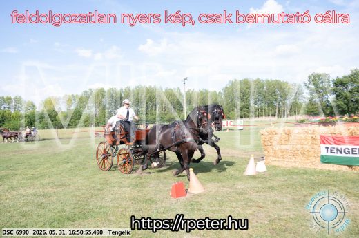 Mintakép 20260531-175