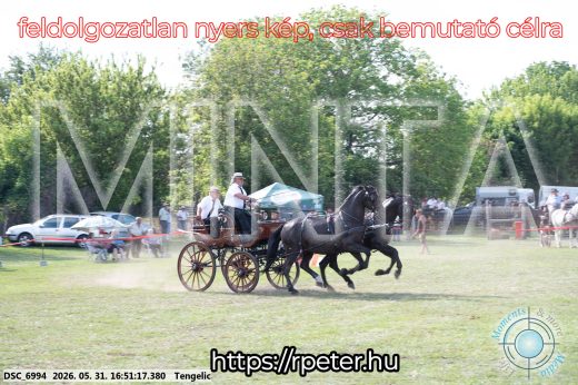 Mintakép 20260531-178