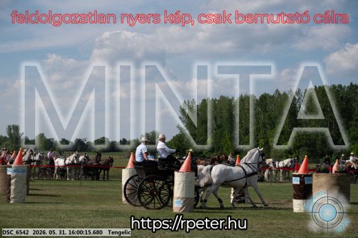 Mintakép 20260531-197