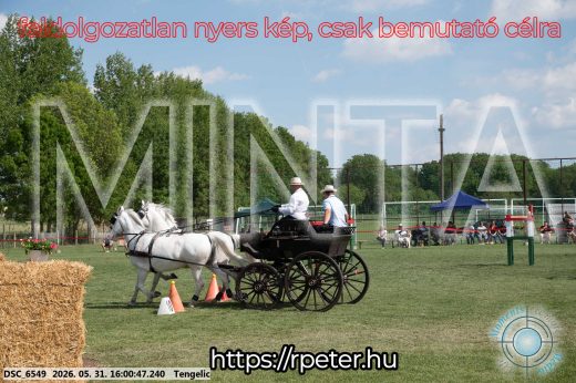 Mintakép 20260531-201