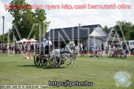 Mintakép 20260531-205