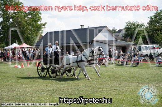 Mintakép 20260531-206