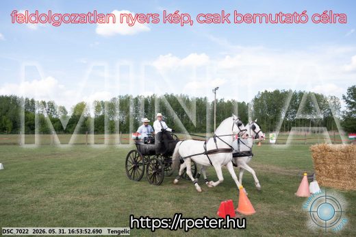 Mintakép 20260531-219
