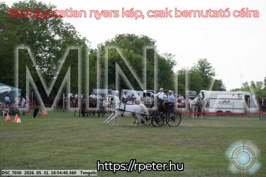 Mintakép 20260531-227
