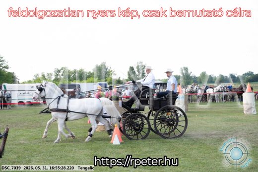 Mintakép 20260531-234