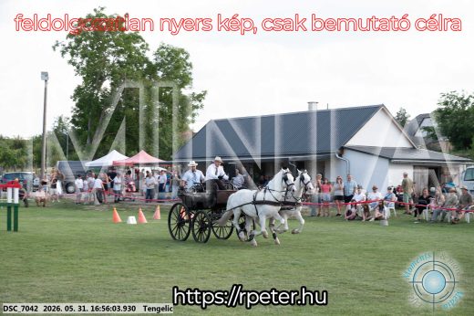 Mintakép 20260531-236
