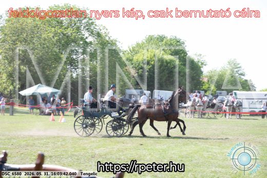 Mintakép 20260531-247