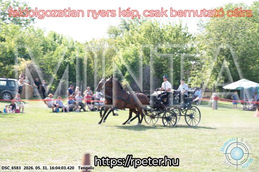 Mintakép 20260531-248