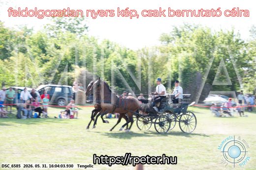 Mintakép 20260531-249