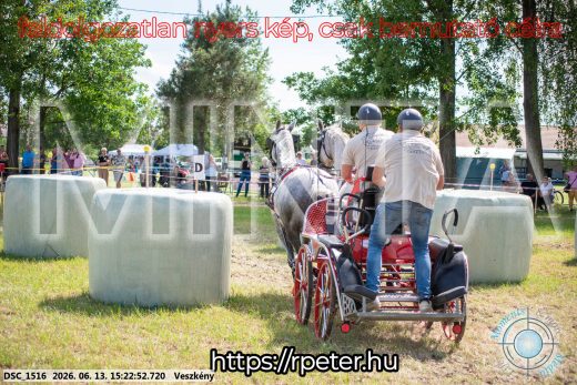 Mintakép 20260613-241