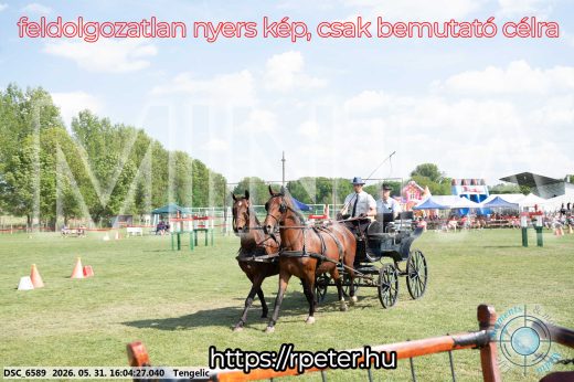 Mintakép 20260531-252