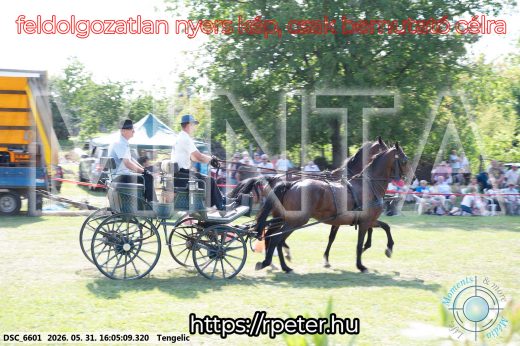 Mintakép 20260531-255