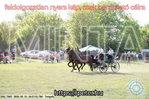 Mintakép 20260531-263