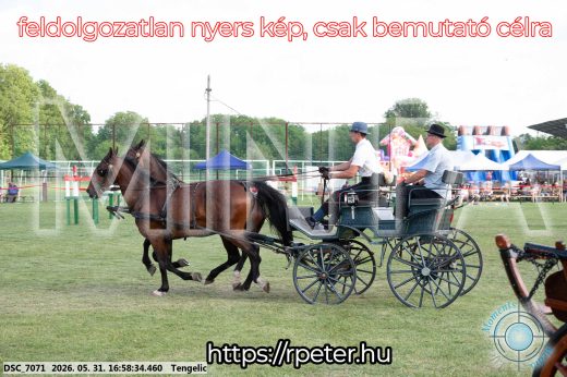 Mintakép 20260531-269